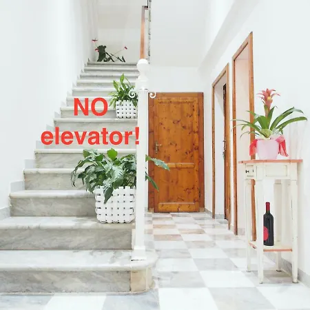 Eco Pisa Tower Guesthouse-2
