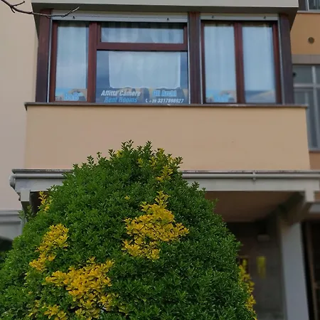 B&B Gli Archi-2