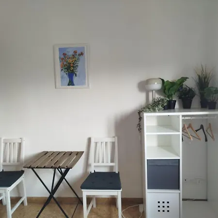 Treehouse - Spacious Private Rooms In Central Pisa Near Station & Airport-3